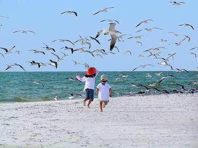 Things to Do Around Anna Maria Island